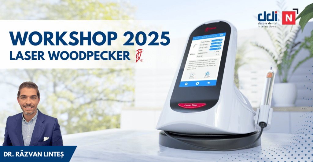 Workshop LASER Razvan Lintes